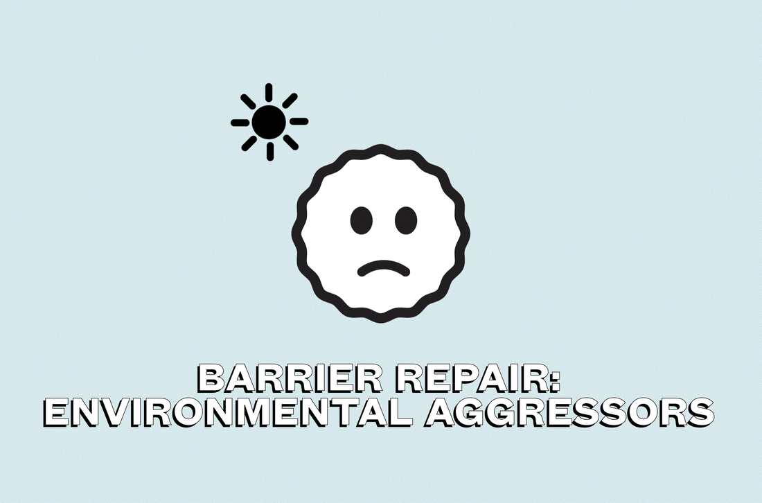 What environmental factors cause skin barrier damage
