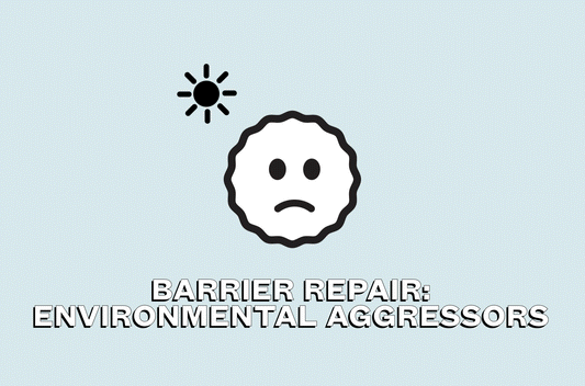 What environmental factors cause skin barrier damage